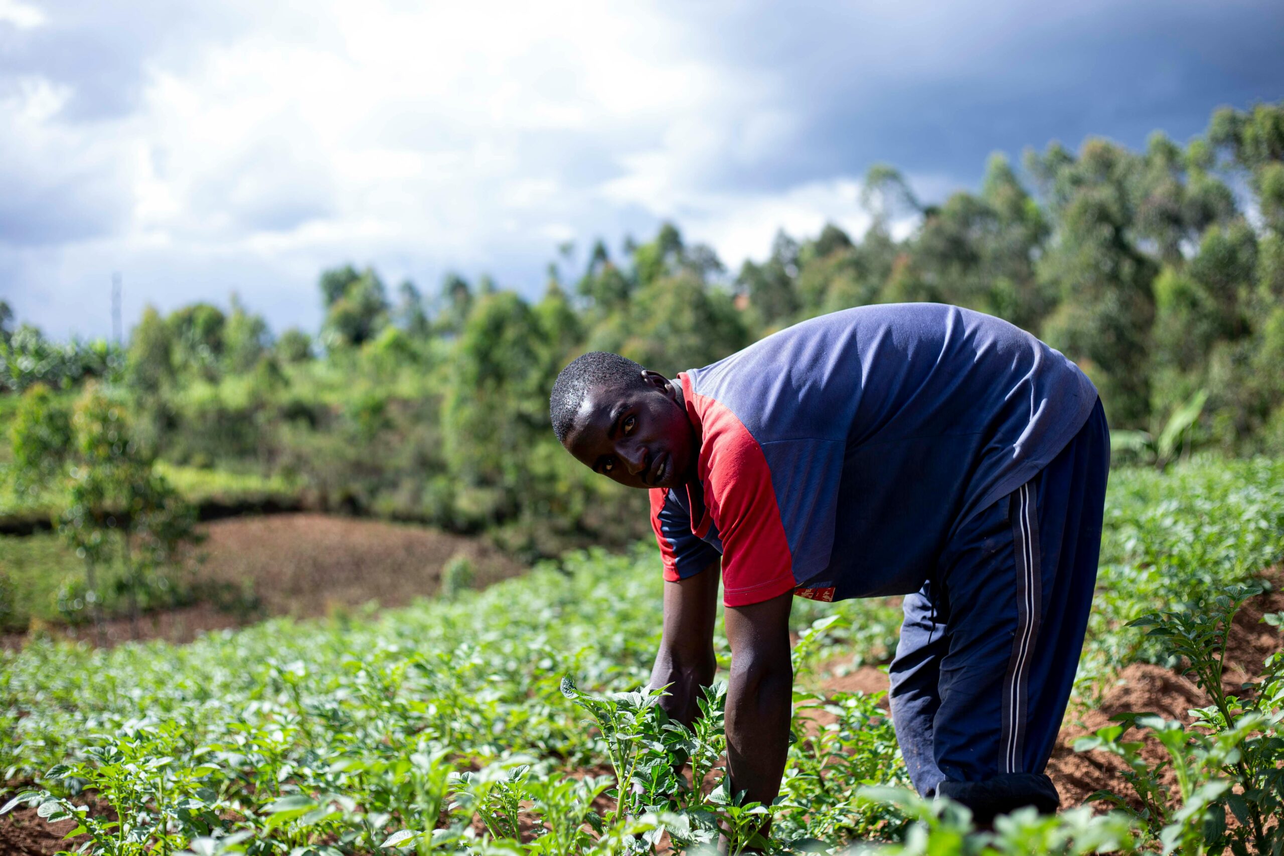 Young man working in a verdant field under a cloudy sky, symbolizing agricultural diligence.